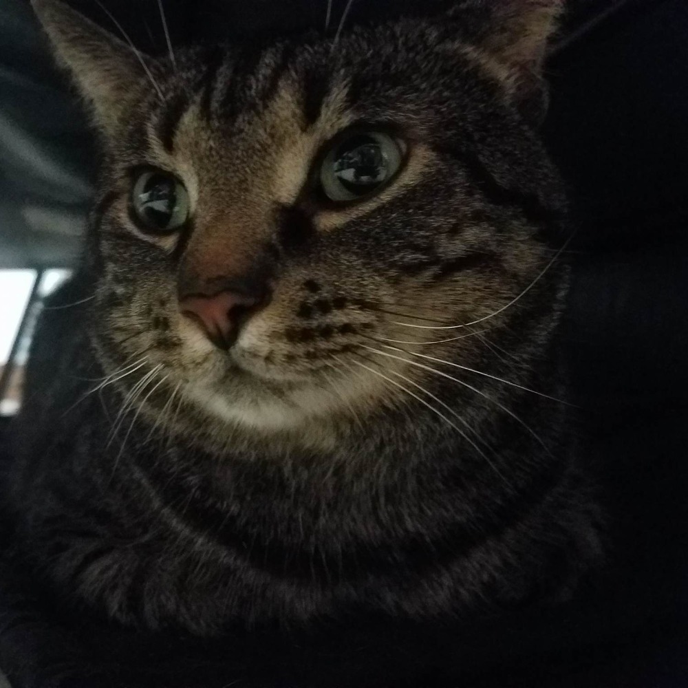 Meet your Posher, Eileen